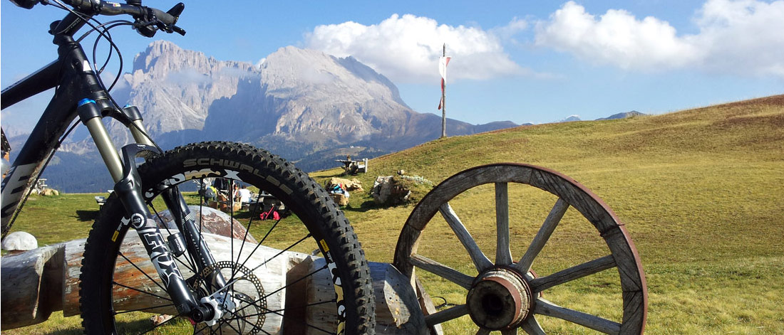 mtb farm