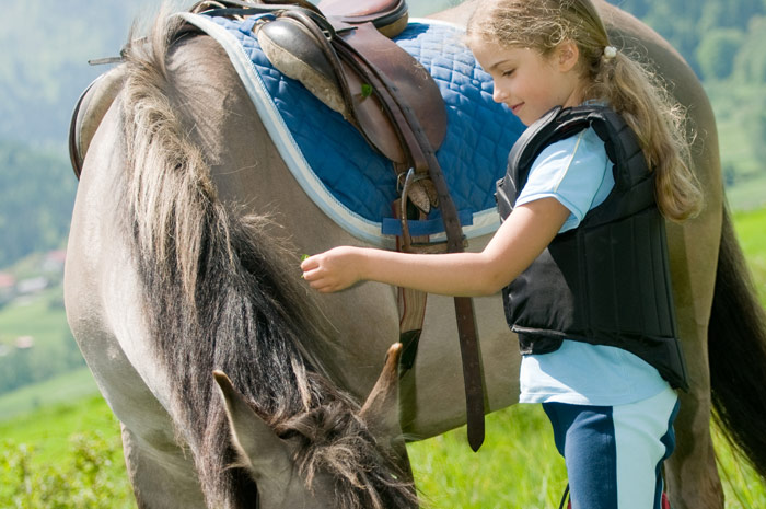 Cavalos Loiros Sorrir Prado Siusi Alpes Trentino Alto Adige Itália